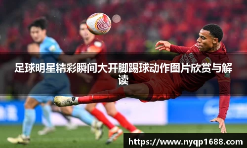 365完美体育官网